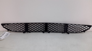 Mercedes Benz E-Class W210 (1995–2002) Front bumper lower grille A2108850053 - 2