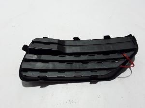  Front bumper lower grille 