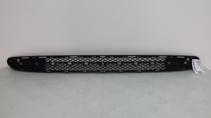 Unteres Stoßstangengitter vorne - A2038851323