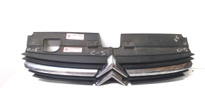Front grille - 28857M