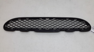 Front bumper lower grille - A2038850823