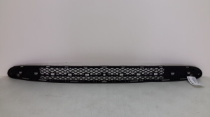 Front bumper lower grille - A2038851323