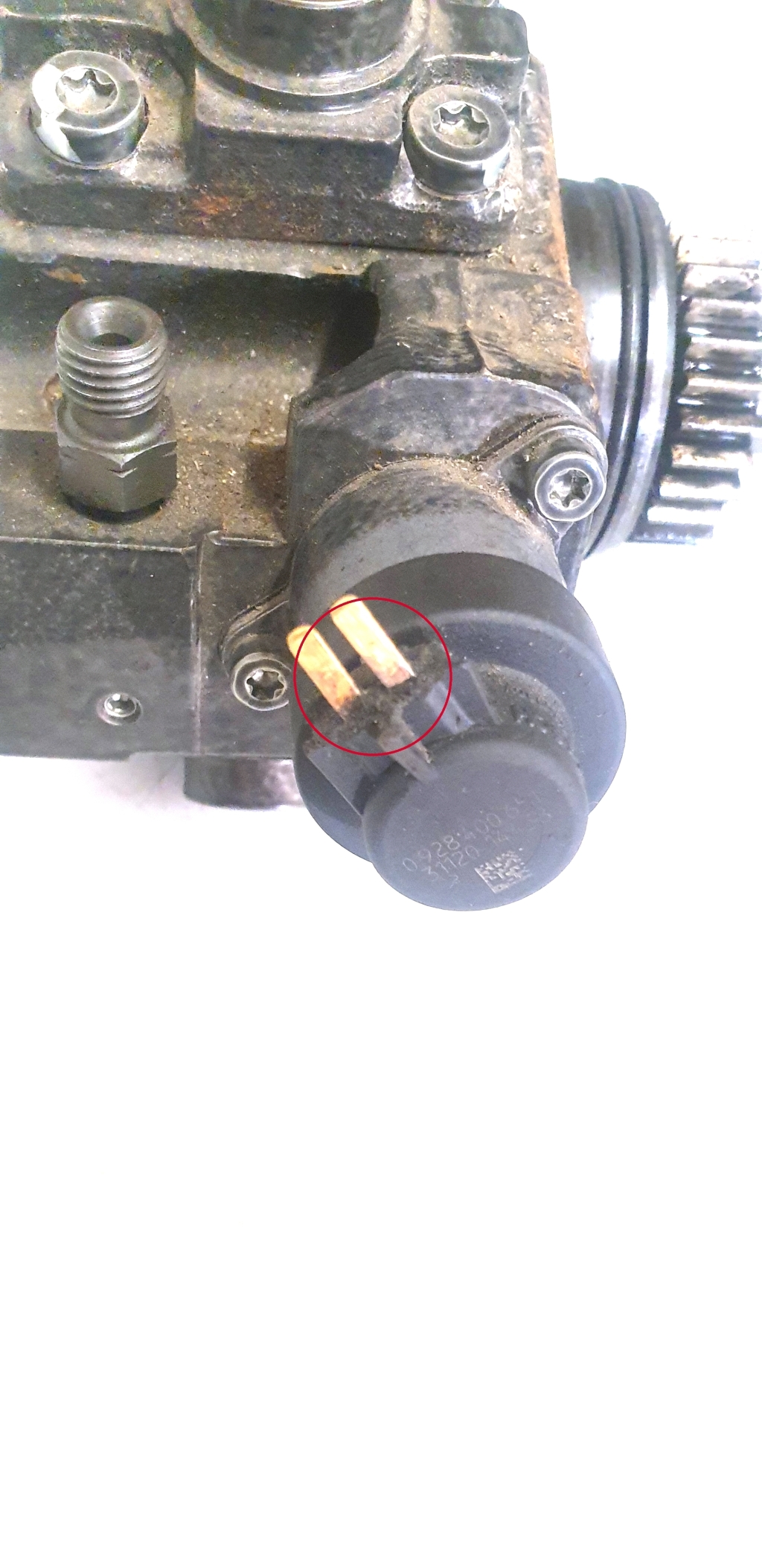 Used NISSAN Qashqai Fuel pump 0445010250