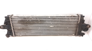 RENAULT Trafic II (2001–2014) Vahejahuti radiaator 8200411160 - 2