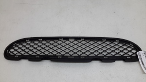Front bumper lower grille - A2038850823