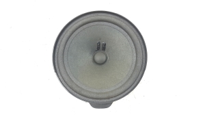   Rear side door speaker 