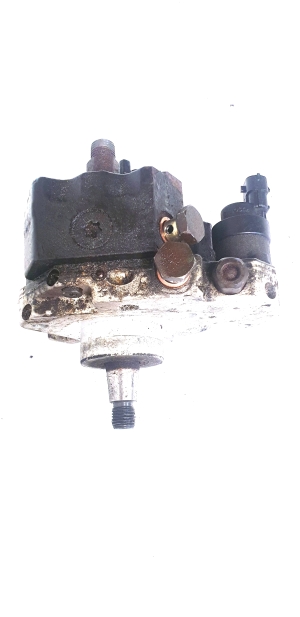 Chrysler Voyager IV (2001–2007) Kraftstoffpumpe 0445010034 - 2