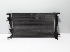 RENAULT Megane III (2008–2016) Jahutusradiaator 214100016R - 3