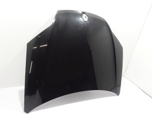   Motorhaube  - 651000021R 