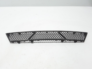   Front bumper lower grille 