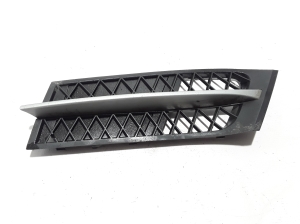   Front bumper lower grille 