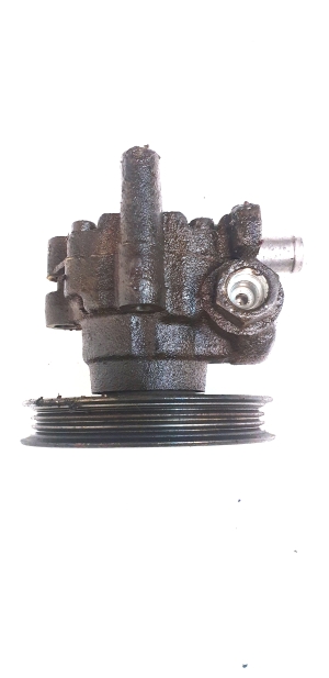 Land Rover Freelander (1998–2006) Servopumpe ANR5582 - 4