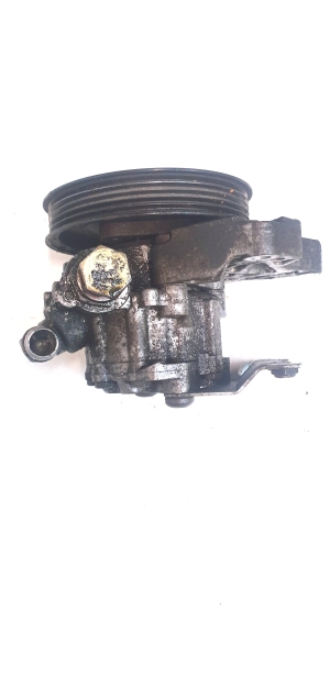 Land Rover Freelander (1998–2006) Servopumpe - 2