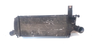 NISSAN Navara (2005–2015) Ladeluftkühler 14461EB360 - 2