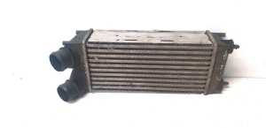 Citroen C4 (2004–2010) Ladeluftkühler 992507ME - 2