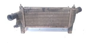 NISSAN Pathfinder R51 (2005–2012) Ladeluftkühler 14461EB360 - 2