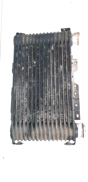 Mitsubishi L 200 (1996–2006) Intercooler MR552982 - 3