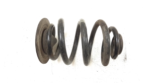   Feder hinten  -  