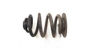   Feder hinten  -  