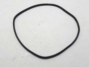RENAULT Fluence (2009–2017) Rear side door seal 769240022R - 2