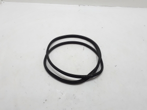 RENAULT Fluence (2009–2017) Rear side door seal 769240022R - 3