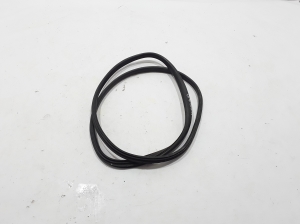 RENAULT Fluence (2009–2017) Rear side door seal 769240022R - 2