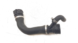 Hose
