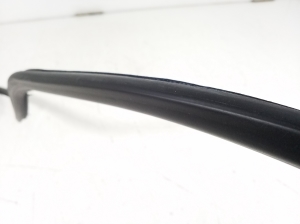 LEXUS GS (2011–2017) Rear side door seal - 2
