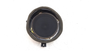   Front door speaker 