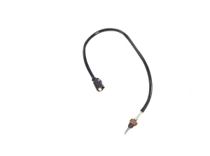 BMW 3 SERIES F31 (2011–2026) Abgastemperatursensor