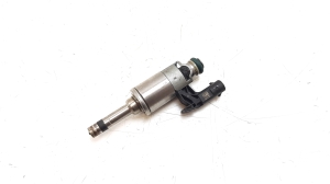   Fuel injector 