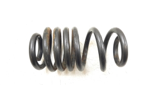 Feder vorne - 