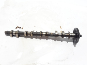   Camshaft  - 130205H60C 