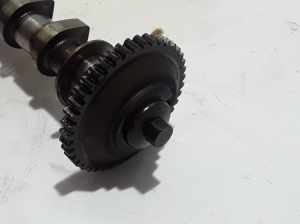 RENAULT Scenic (2009–2015) Camshaft 130205H60C - 2