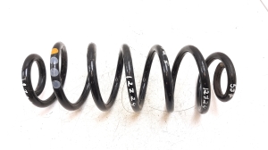 Rear spring