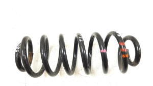 Rear spring