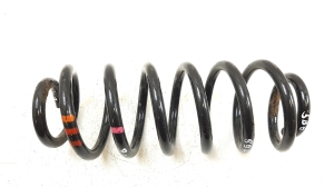 Rear spring