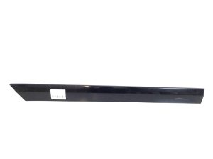 Rear side door molding - A2036903062