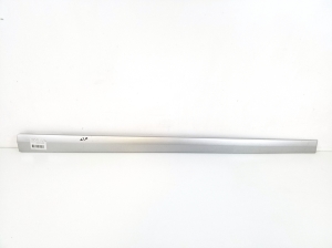 Front door molding - A2036902262