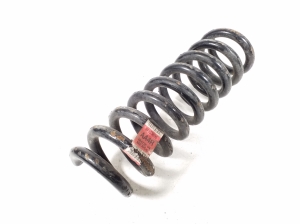   Rear spring  - 84153696 