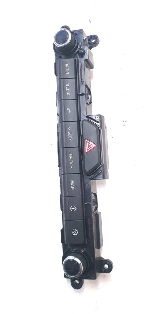 Multimedia control module - D996568020