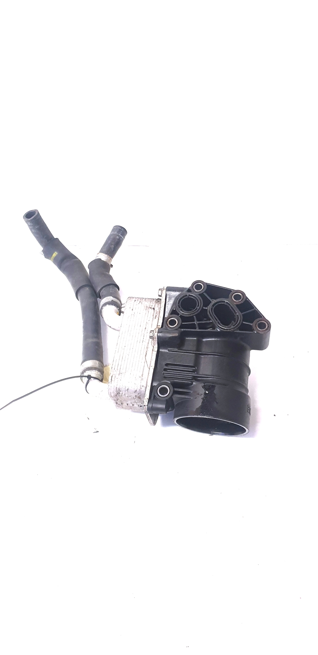 Kia Sportage (2010–2016) Ölkühler am Block 264102F020