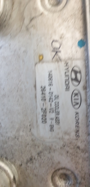 Kia Sportage (2010–2016) Ölkühler am Block 264102F020 - 3