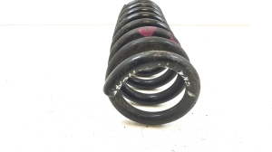  Rear spring 