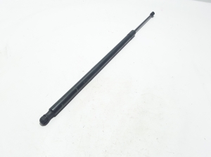   Trunk lid shock absorber 