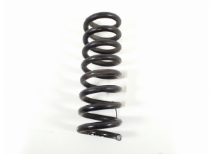   Feder hinten  - A2033240504 