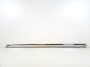   Zierleiste Tür vorne  - A2096901182 