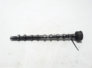 RENAULT Laguna II (2001–2007) Nockenwelle 8200019181 - 2