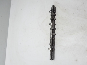 RENAULT Clio II (1998–2005) Nockenwelle 8200255678 - 2