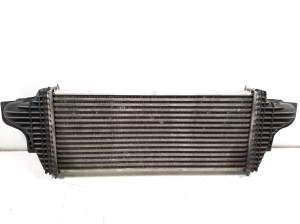 Mercedes Benz ML-Class 164 (2005–2011) Starpdzesētāja radiators A2515000000 - 3